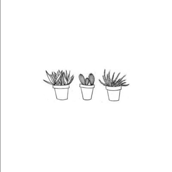 Meet your Posher, Arianna - Picture 1 of 1